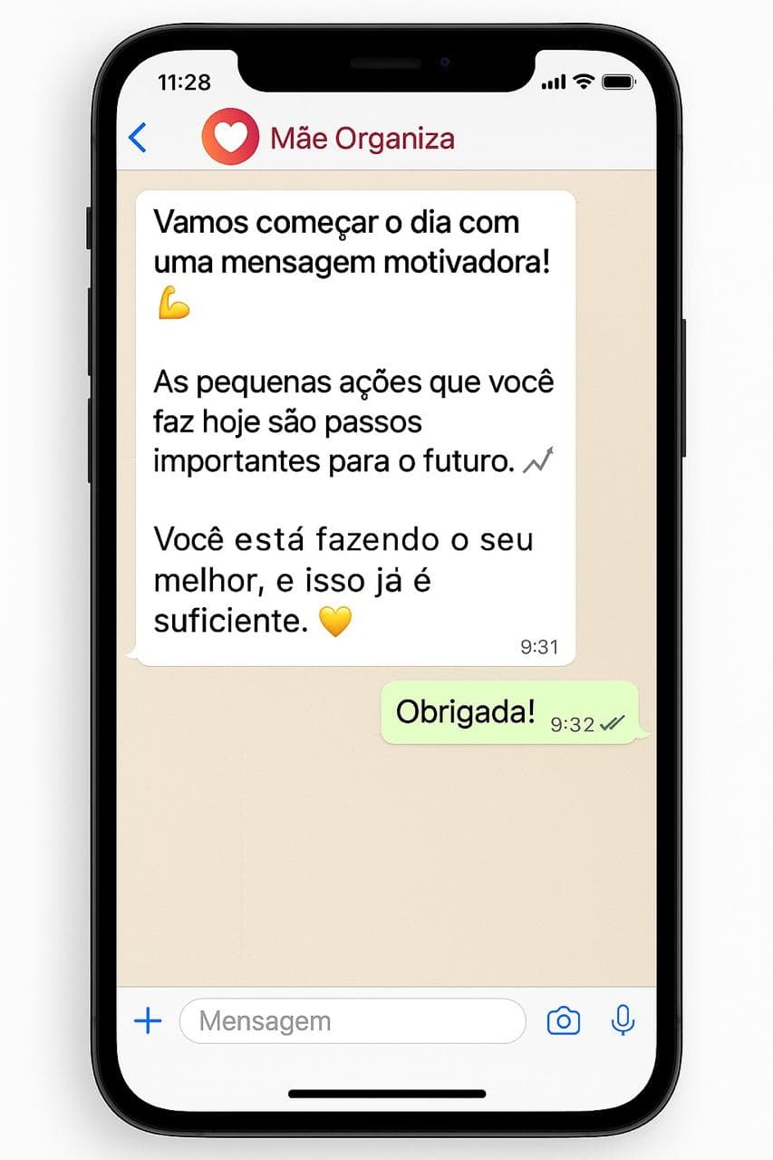 Financeiro WhatsApp
